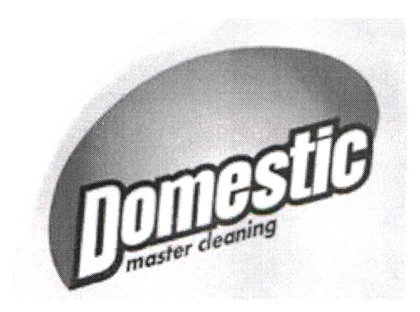 domstic master cleaning