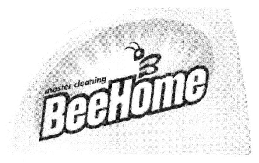 master cleaning