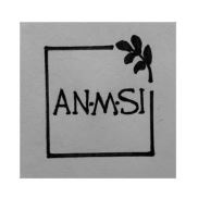 anmsi