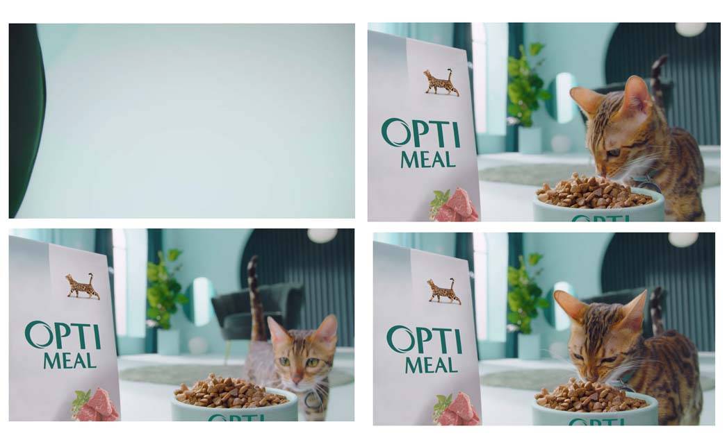 opti meal