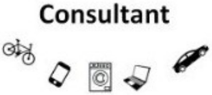 consultant