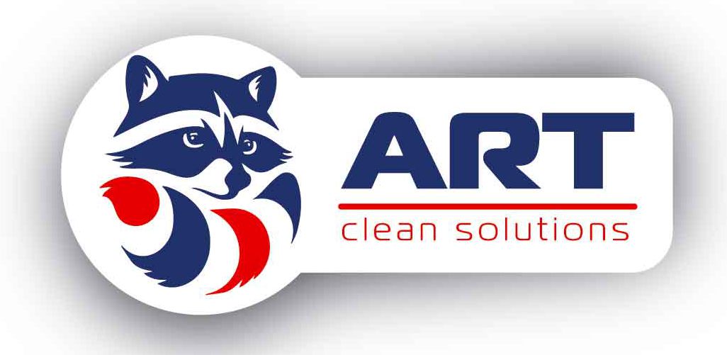 art clean solution