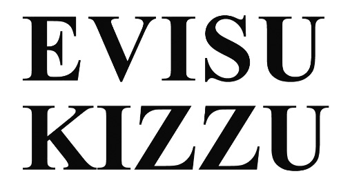 evisu kizzu