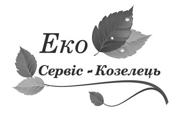еко сервіс-козелець