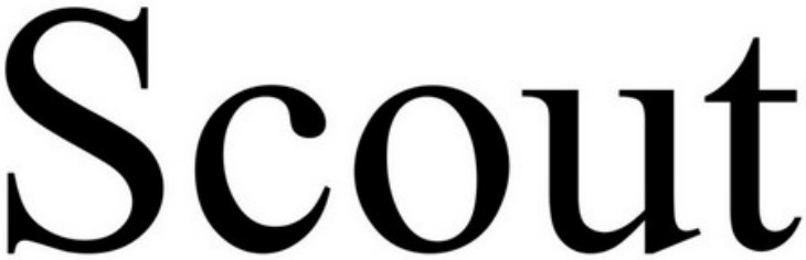 scout