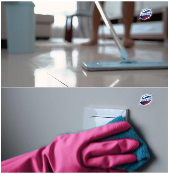 domestos