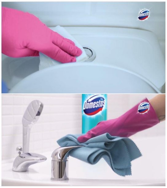 domestos