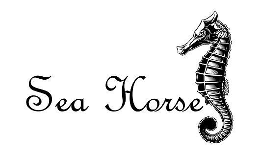 sea horse