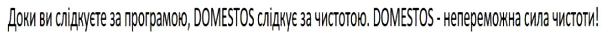 доки ви слідкуєте за програмою, domestos слідкує за чистотою
