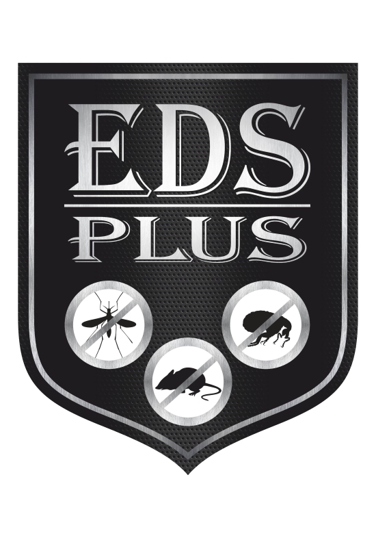 eds plus