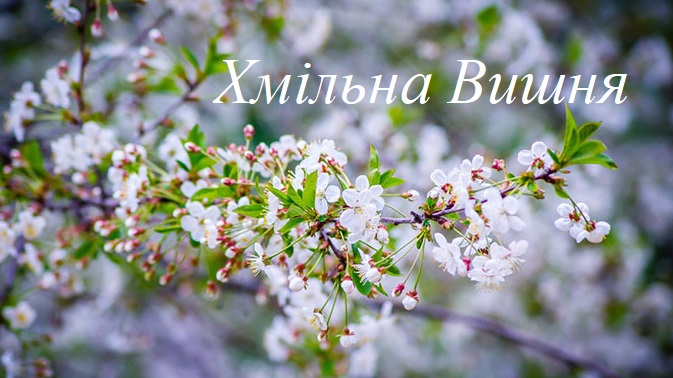 хмільна вишня