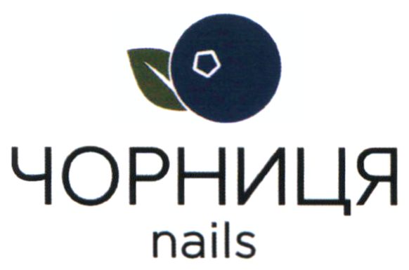 чорниця