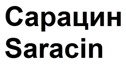 сарацин