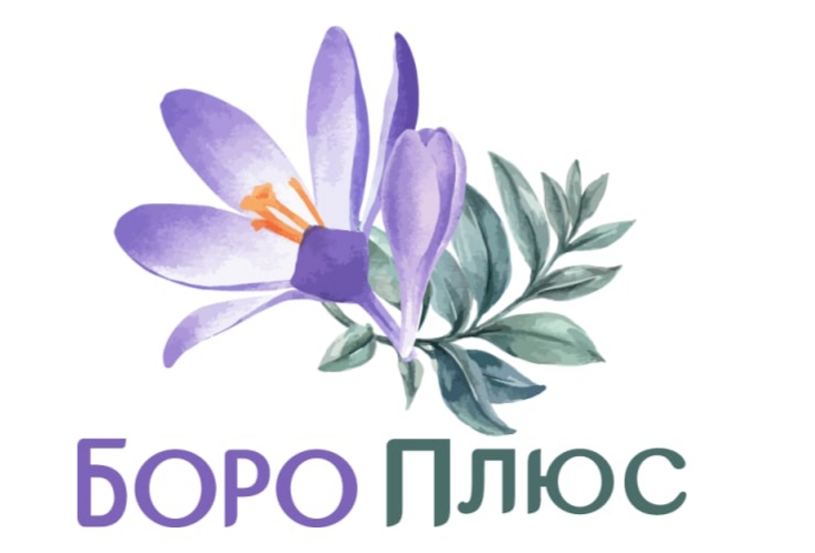 боро плюс