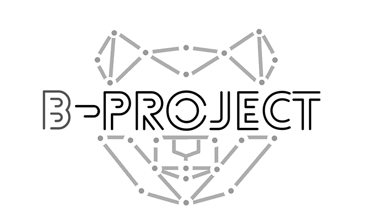 b-project