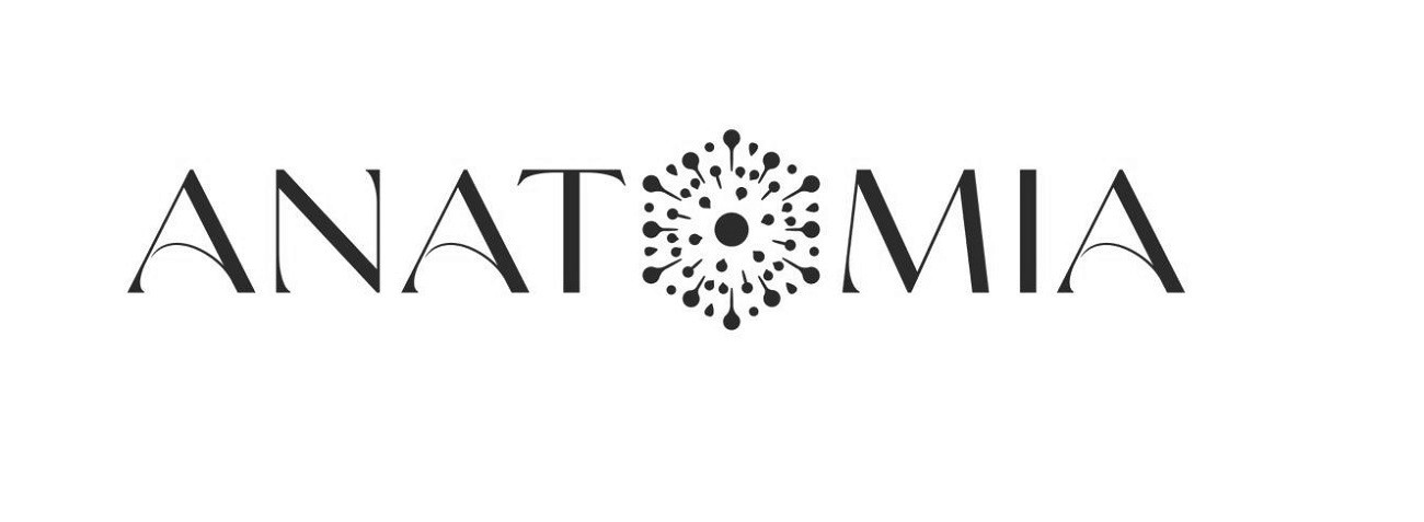 anatomia
