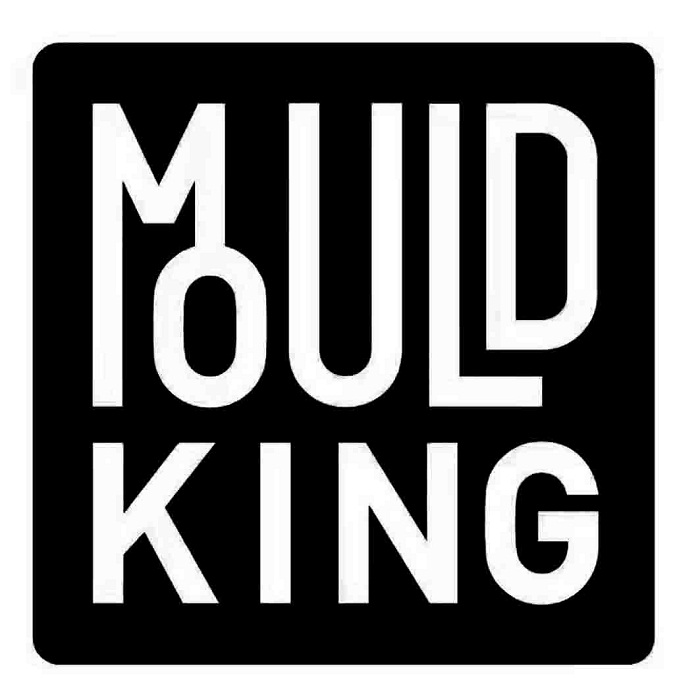 mould king