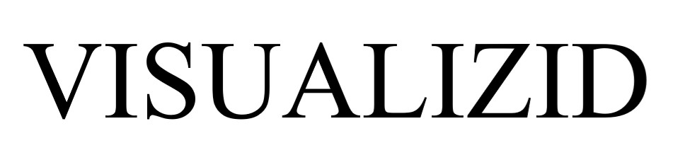visualizid
