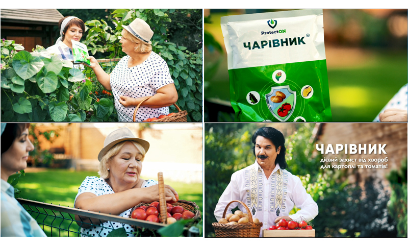 чарівник дієвий захист від хвороб для картоплі та томатів!