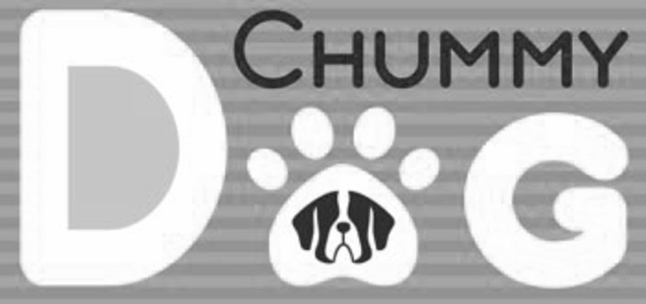 chummy dog