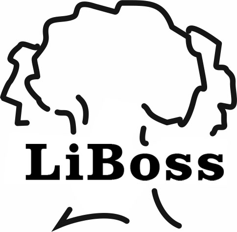 li boss