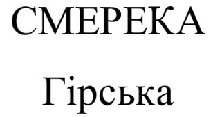 смерека гірська