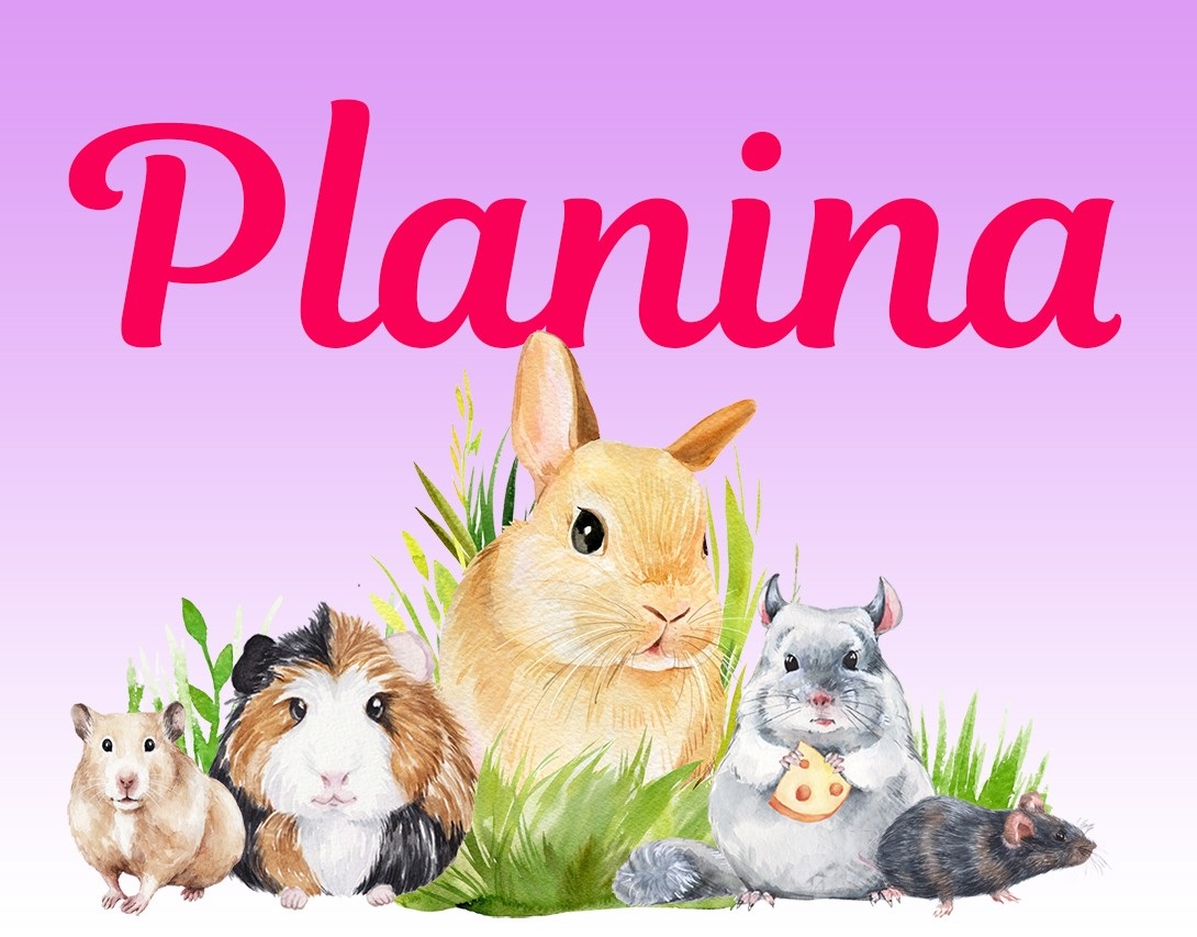 planina