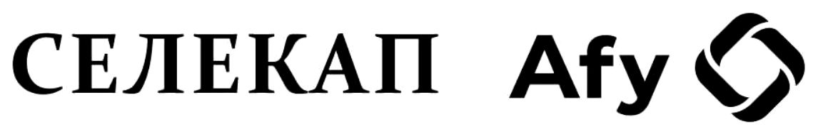 селекап afy