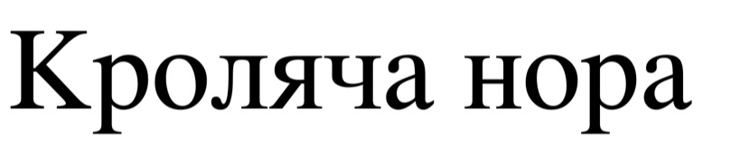 кроляча нора