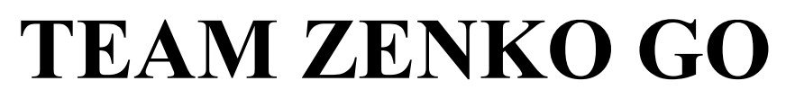 team zenko go