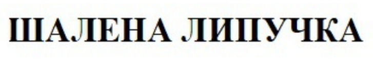 шалена липучка