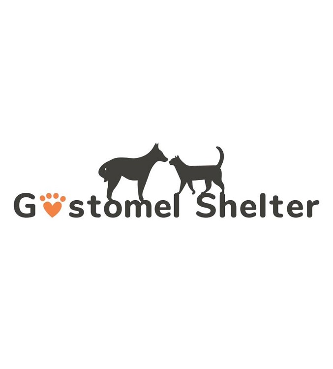 gostomel shelter