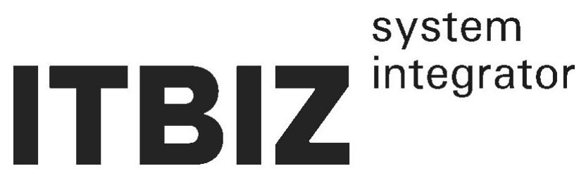 itbiz system integrator
