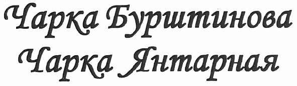 чарка бурштинова чарка янтарная