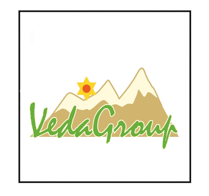 veda group