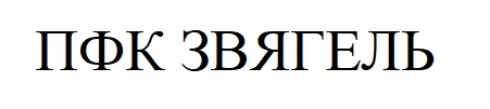 пфк звягель