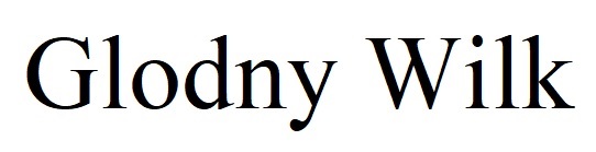glodny wilk
