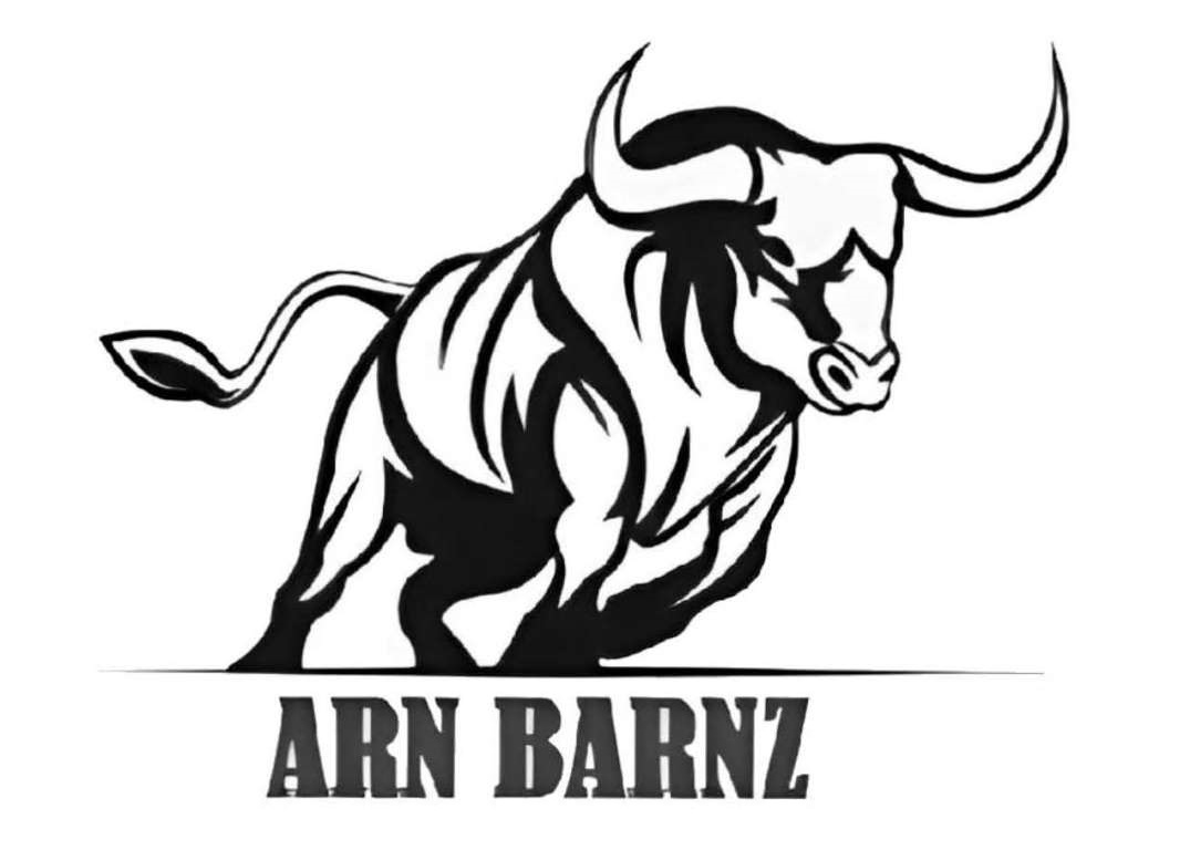 arn barnz
