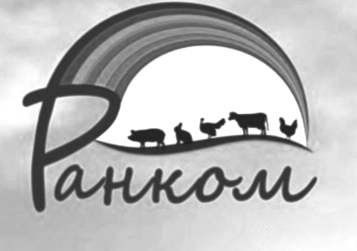 ранком