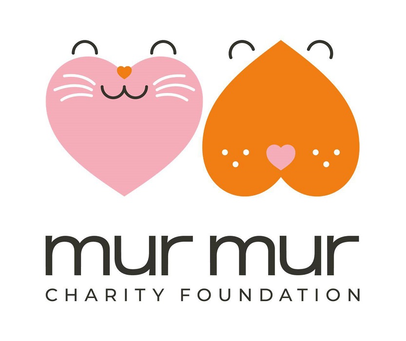 mur mur charity foundation
