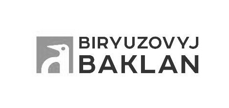 biryuzovyj baklan
