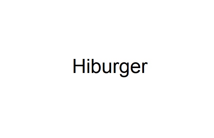 Зображення марки «hiburger»
