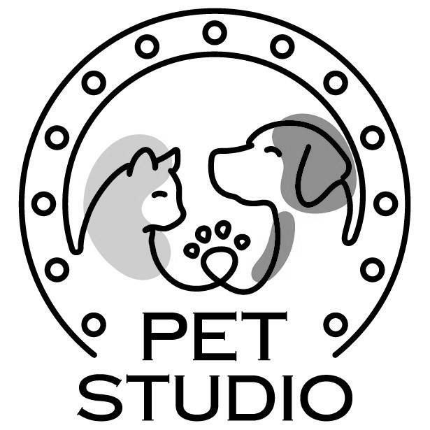 pet studio