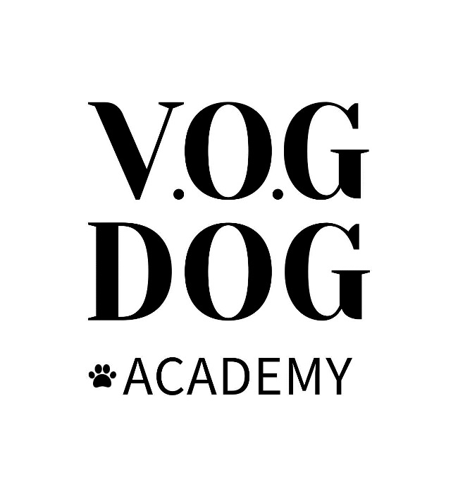 v.o.g dog academy