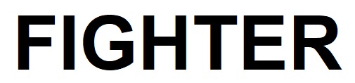 fighter
