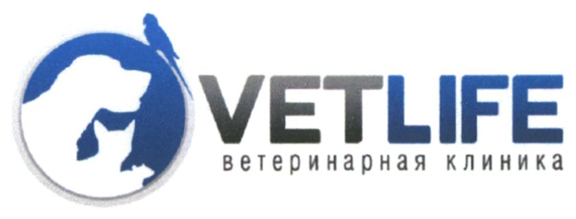 ветеринарная клиника