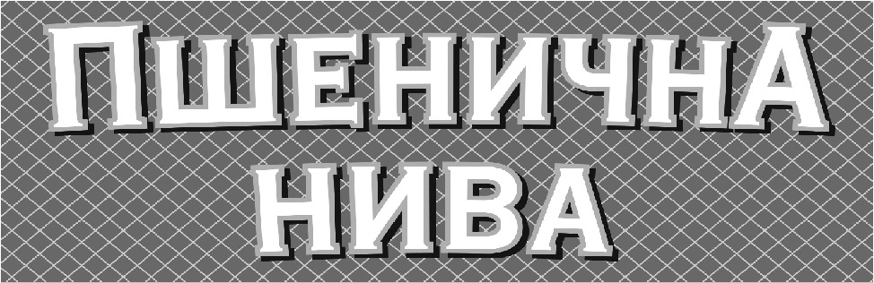 пшенична нива