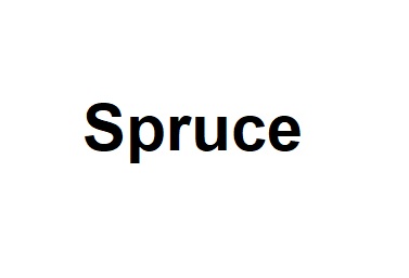 spruce