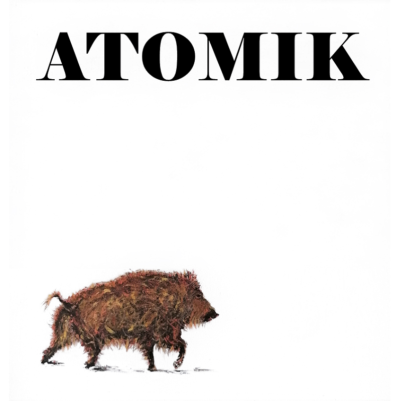 Зображення марки «atomik»