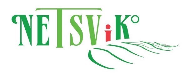 netsvik